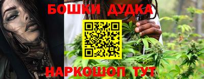 индика Обнинск