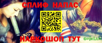 стаф Обь
