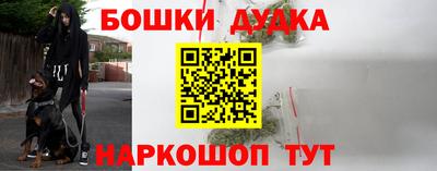 стаф Обь