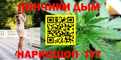 индика Обнинск