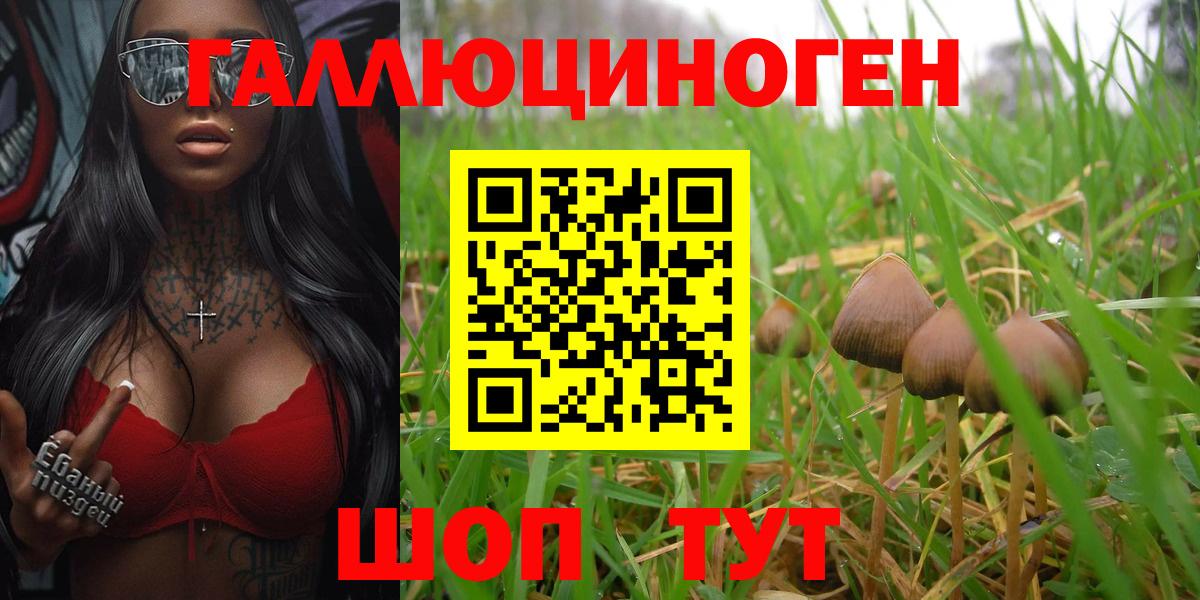 Псилоцибиновые грибы прущие грибы  Вход с VPN  Родники 